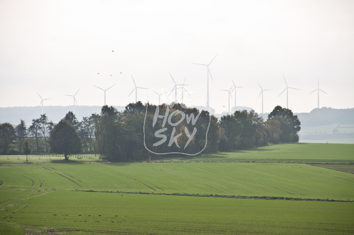 Blick über Kohlfeld