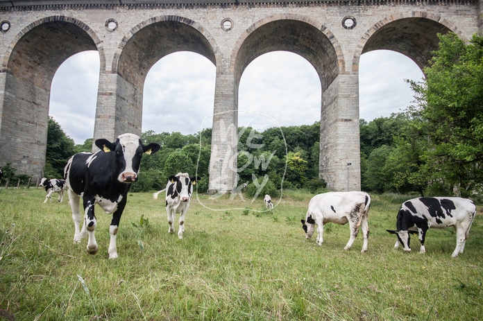 Viadukt Altenbeken