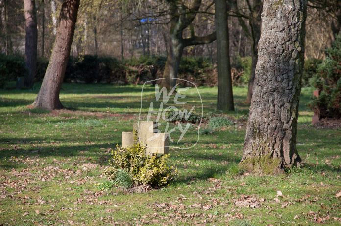 Einzelnes Grabkreuz in der Sonne