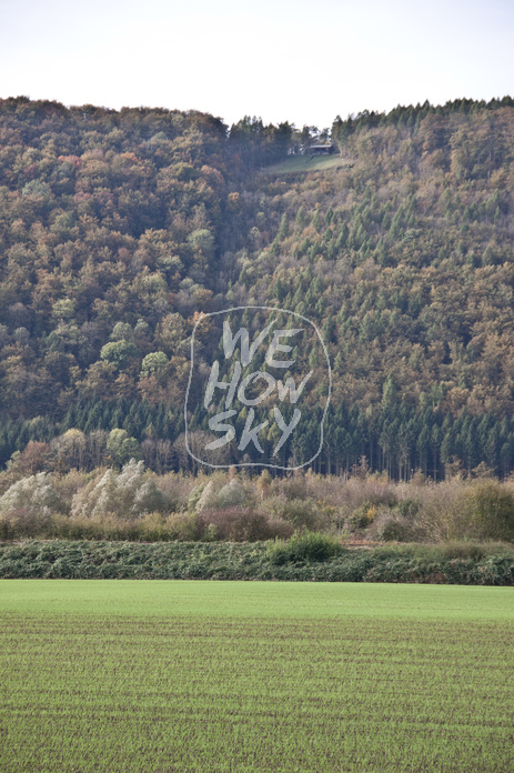 Bewaldeter Bergrücken
