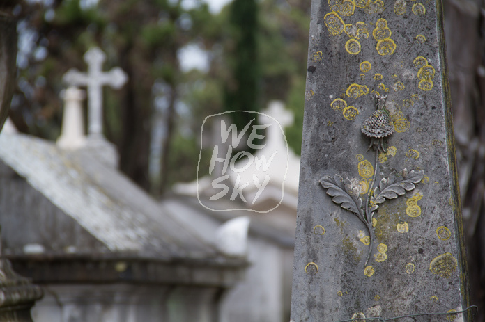 Friedhof Lissabon