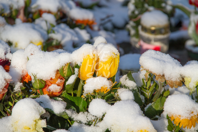 Grab im Schnee