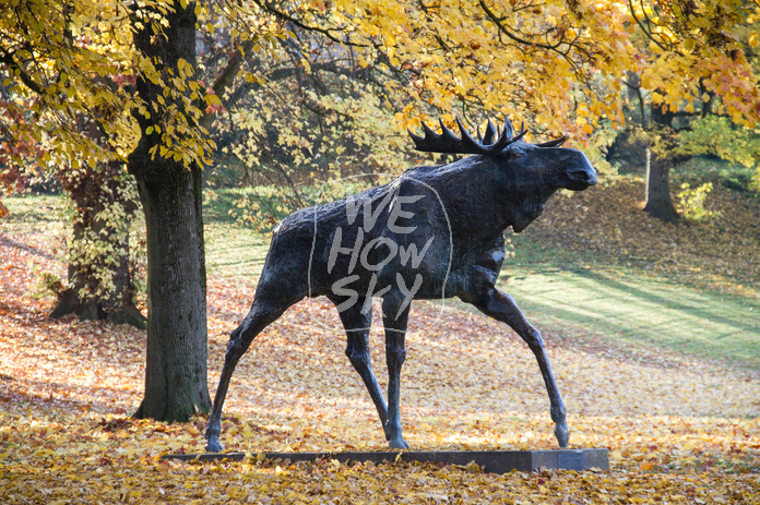 Bürgerpark
