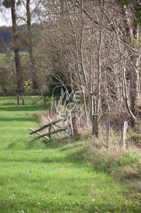 Holzgatter