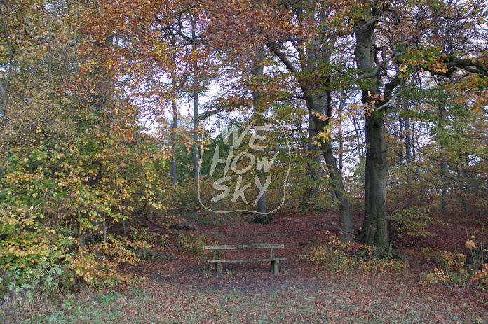 Sitzbänke im Herbstwald