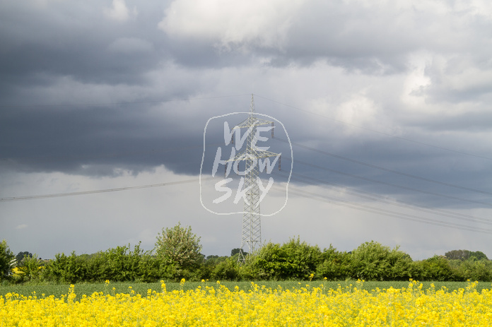 Rapsfeld vor Gewitter