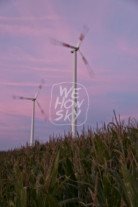 Windkraft im Sonnenuntergeng