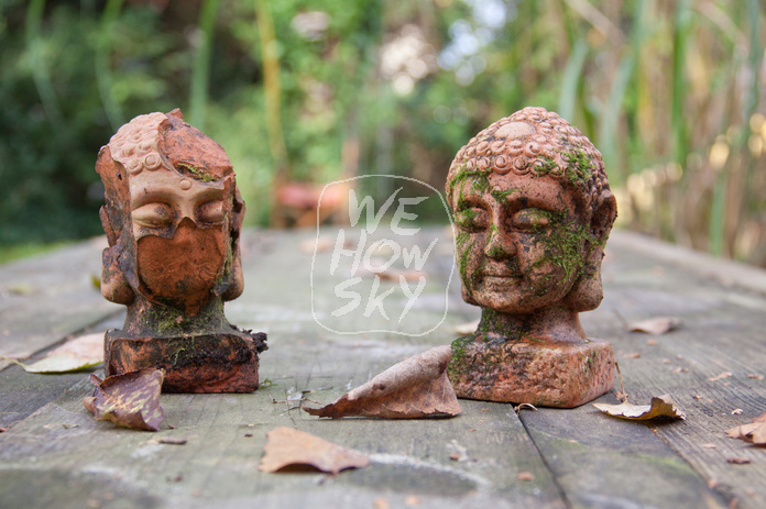 Buddhakopf