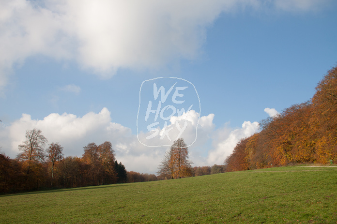 Herbstsolitär