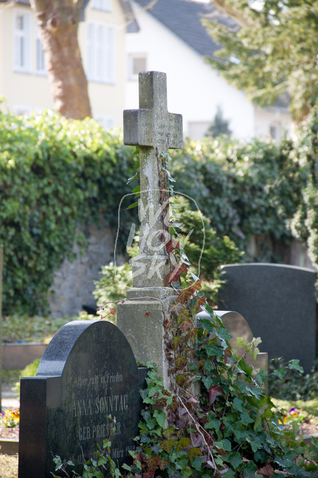 Steinkreuz mit Efeu
