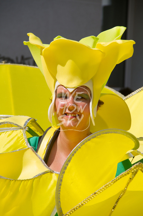 Carnival der Kulturen 2016