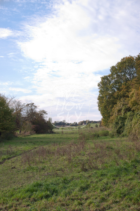 Herbstwiese