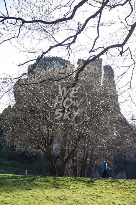 Externsteine durch Äste