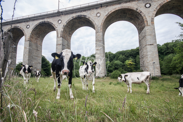 Viadukt Altenbeken