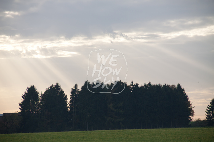 Abendsonne