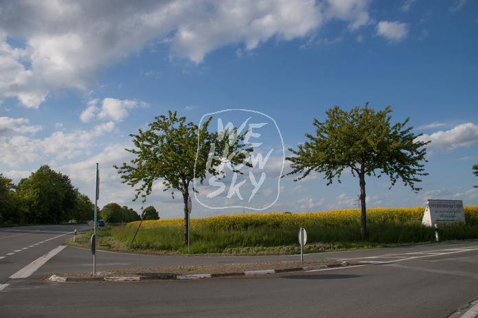 Straßenkreuzung am Rapsfeld