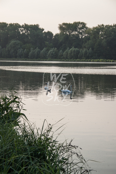 Obersee Schildesche