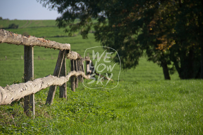 Holzweidezaun