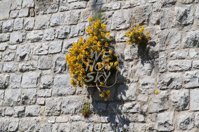 Sparrenburg