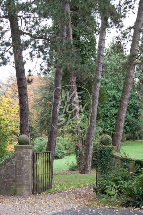 Eingang Friedhof