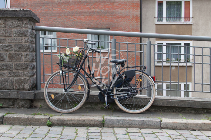 Hollandrand an Gitter
