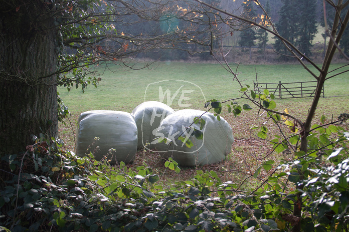 Drei Silageballen