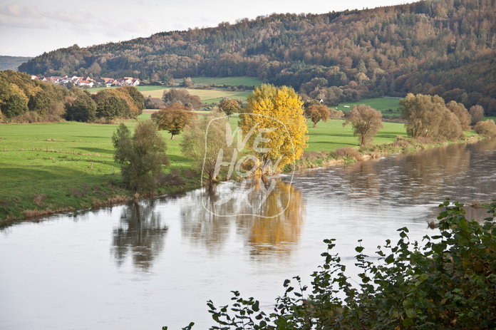 Bäume an Weserufer