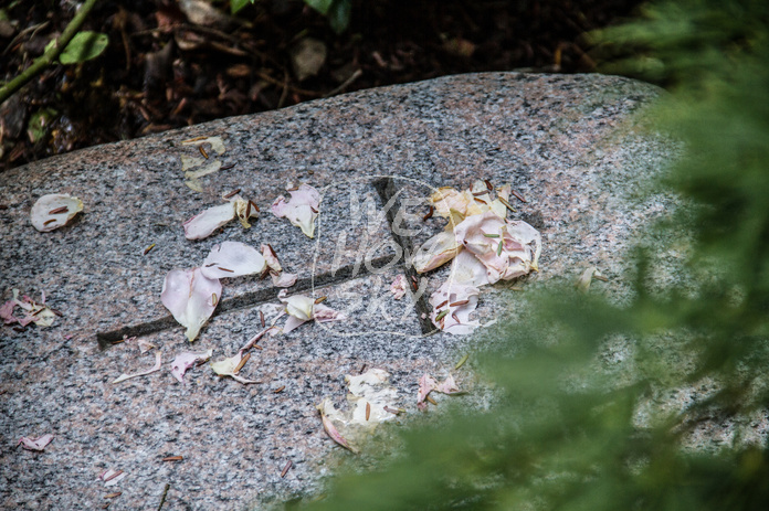 Rosenblätter auf Grabstein