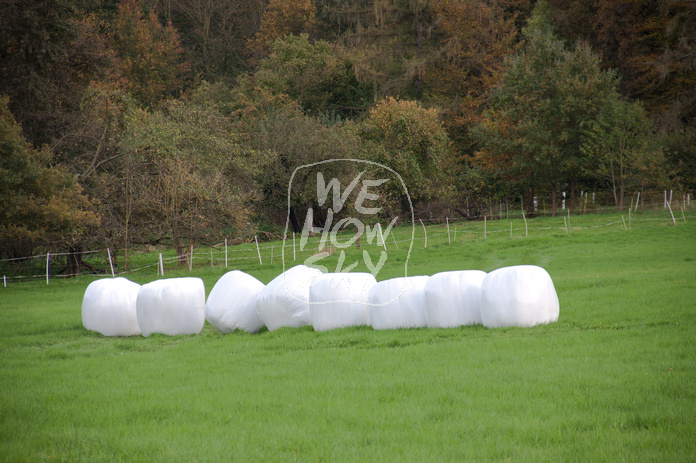 Silageballen