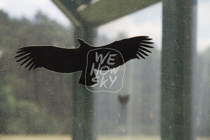Warnvogelaufkleber