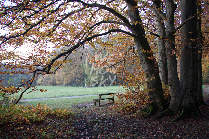 Sitzbänke im Herbstwald