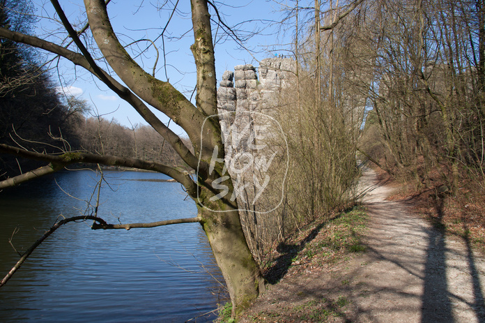 Bäume am Teich