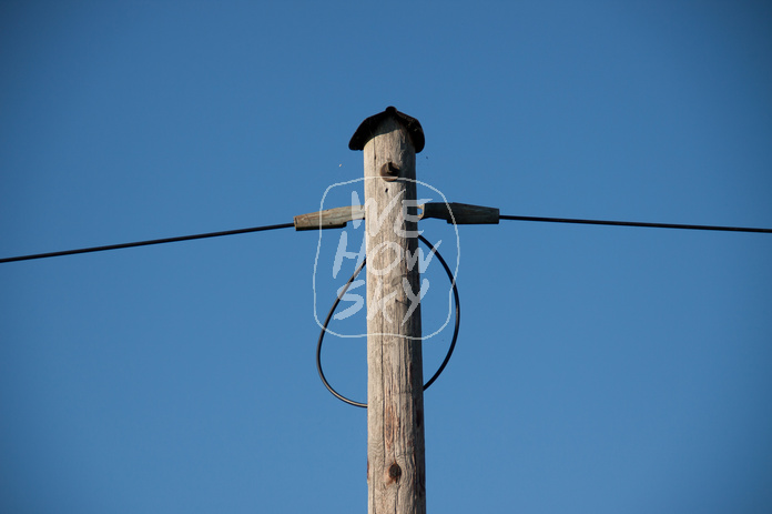 Telefonleitung
