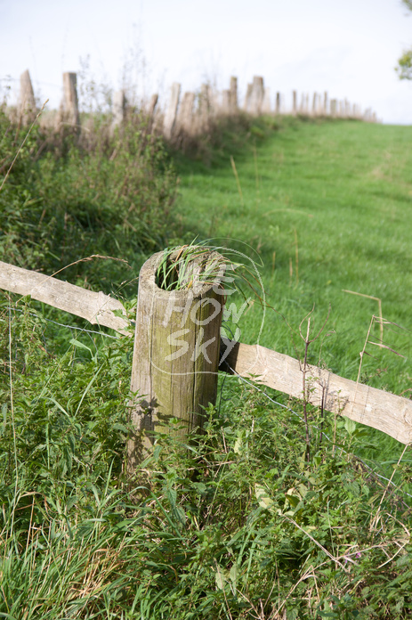Weidezaun aus Holz