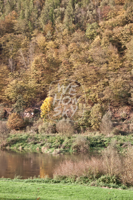Herbstliches Weserufer