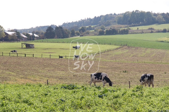 Blick übers Land