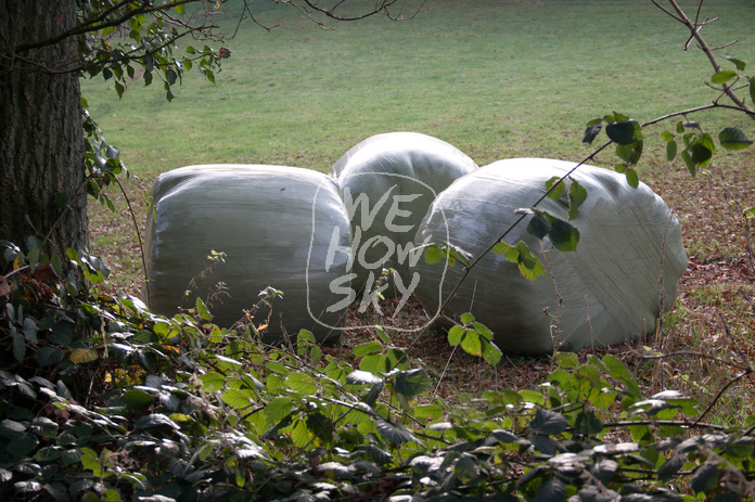 Drei Silageballen