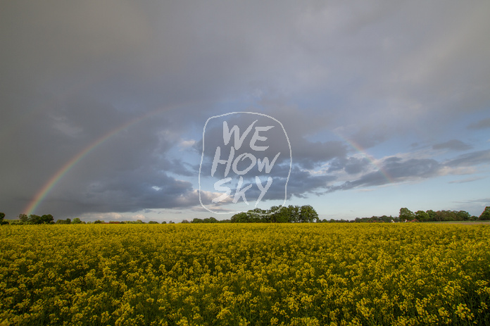 Regenbogen hinter Rapsfeld