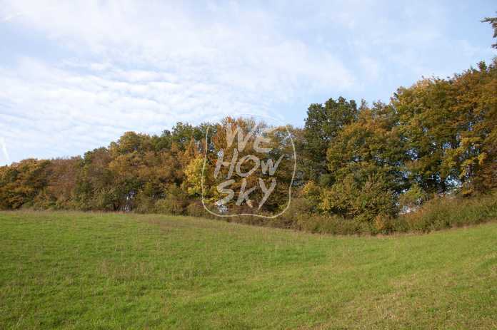 Herbstwald