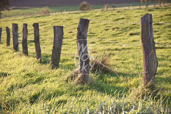 Stacheldrahtzaun mit Holzpfosten