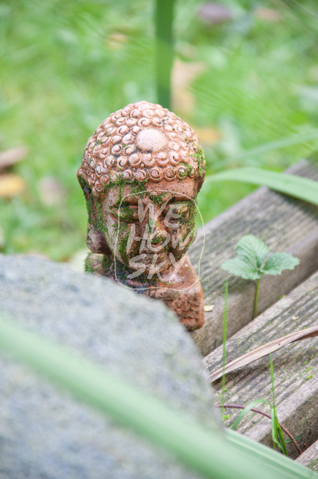 Buddhakopf