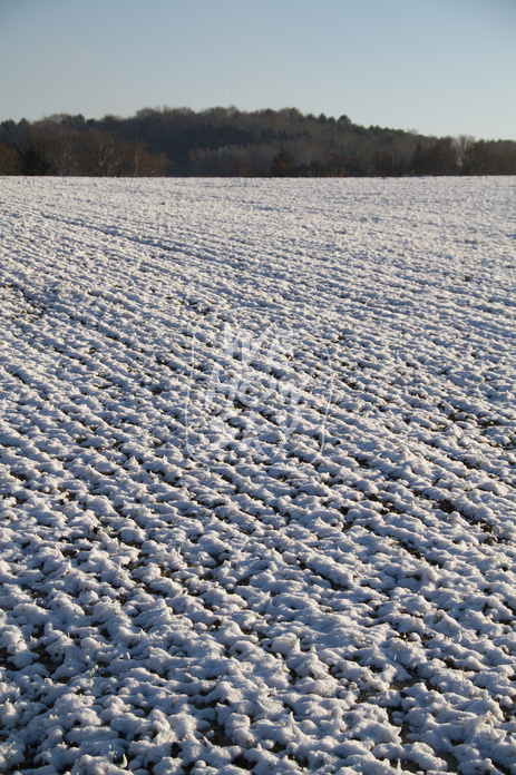 Winteracker