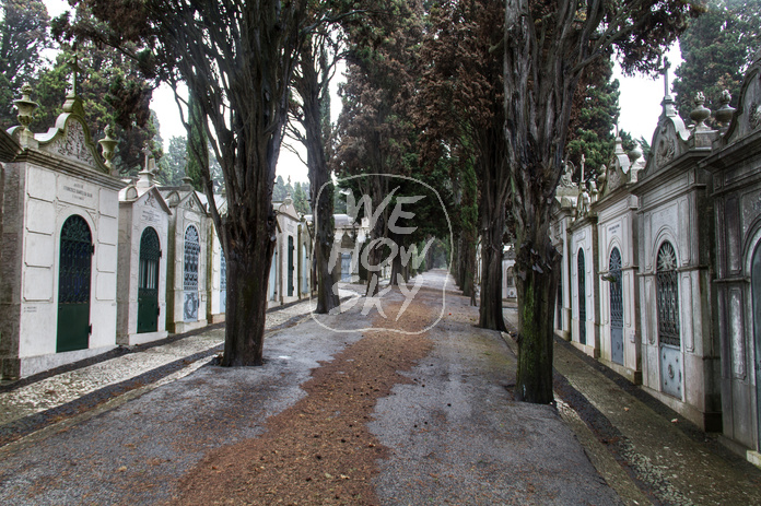 Friedhof Lissabon