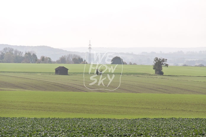 Blick über Kohlfeld