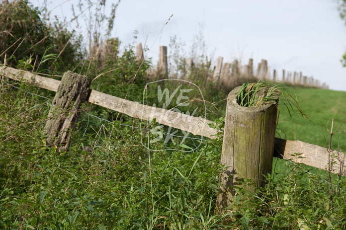 Weidezaun aus Holz