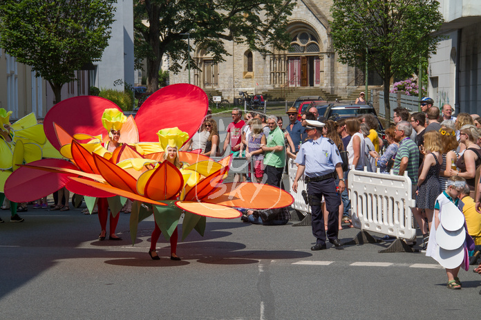 Carnival der Kulturen 2016
