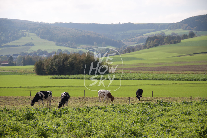 Blick übers Land