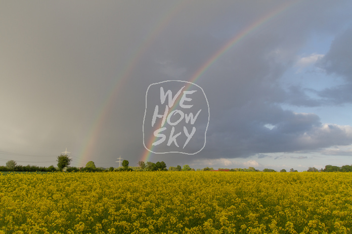 Regenbogen hinter Rapsfeld