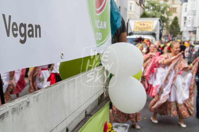 Carnival der Kulturen 2016