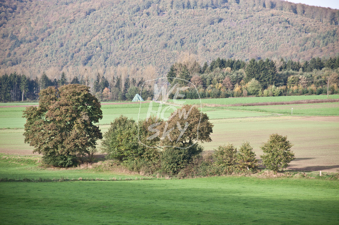 Bäume an Weserufer